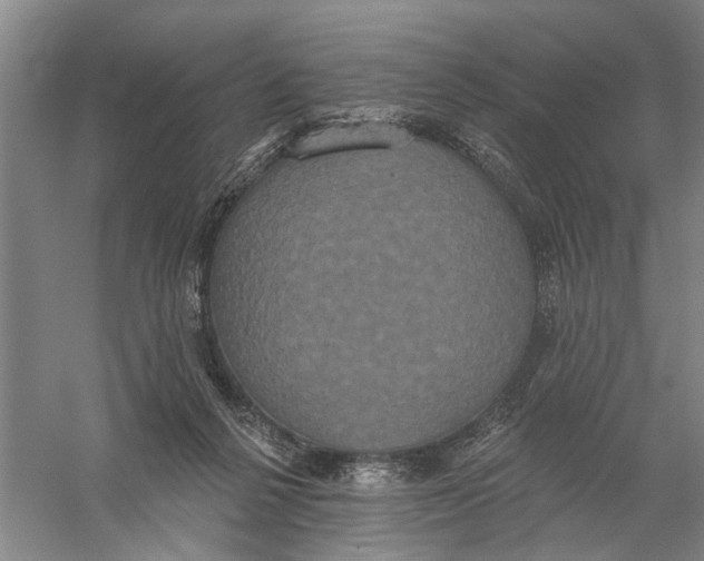 X0000056350264200509232113