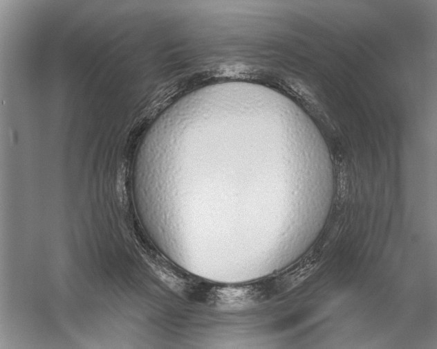 X0000056350265200509232113