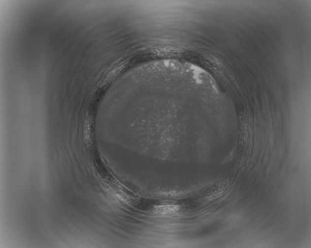 X0000056350266200509232113