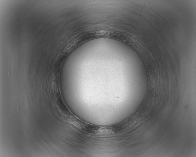 X0000056350270200509232113