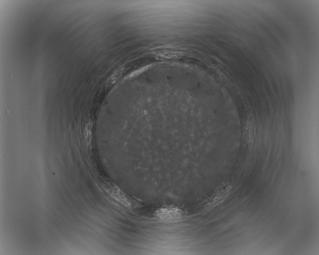 X0000056350271200509232113