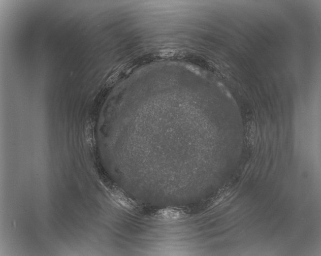 X0000056350272200509232113