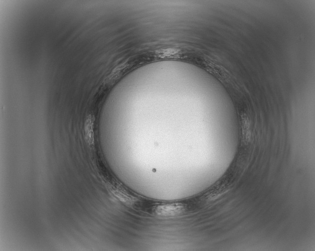 X0000056350274200509232113