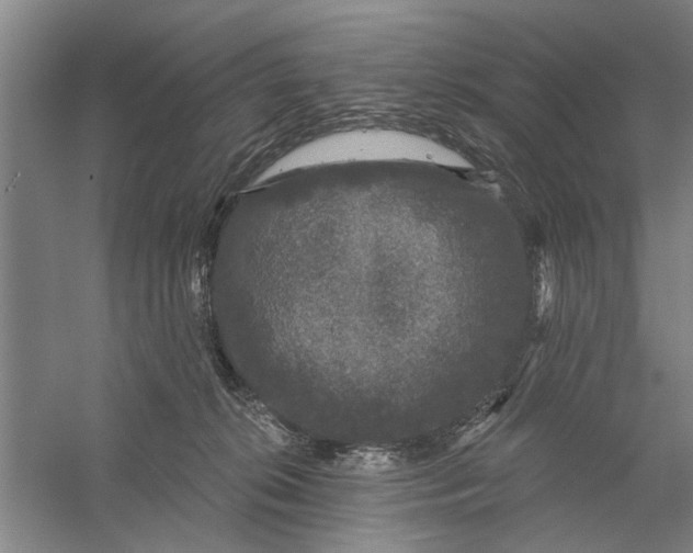 X0000056350276200509232113