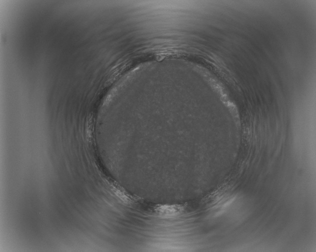 X0000056350277200509232113