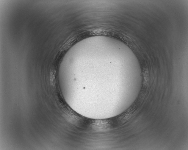 X0000056350278200509232113