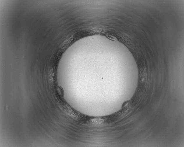 X0000056350279200509232113