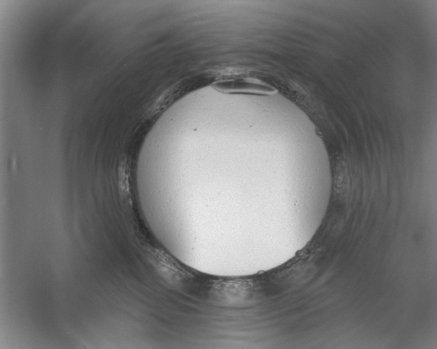 X0000056350282200509232113