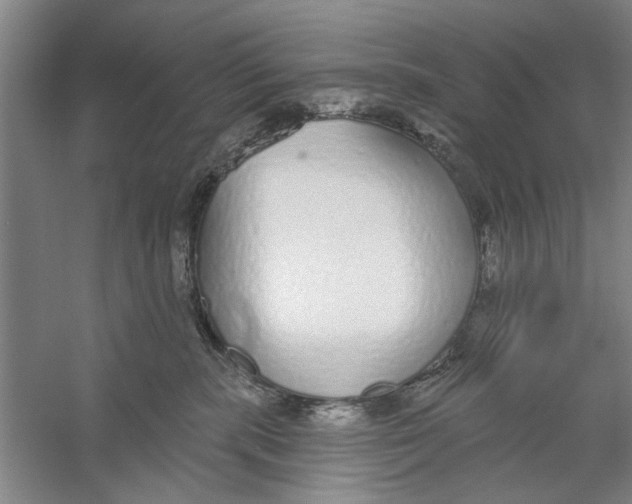 X0000056350283200509232113