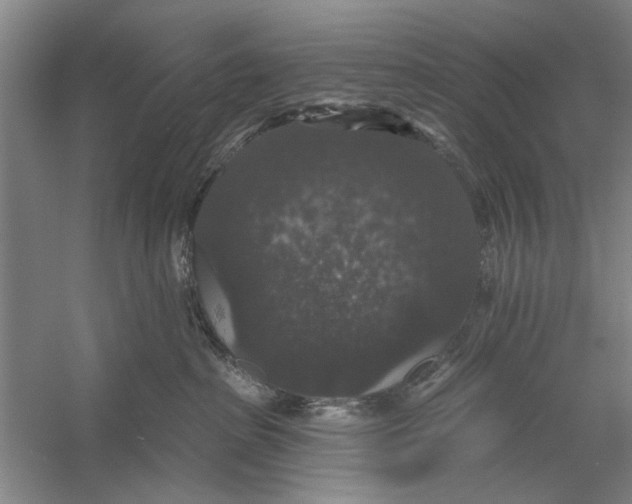 X0000056350285200509232113