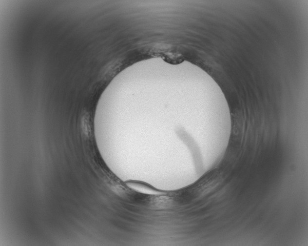 X0000056350287200509232113