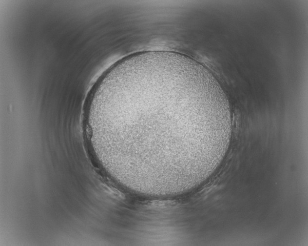 X0000056350292200509232112