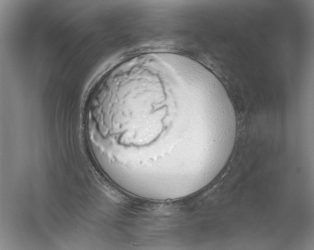 X0000056350293200509232112