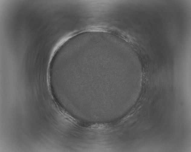 X0000056350294200509232112