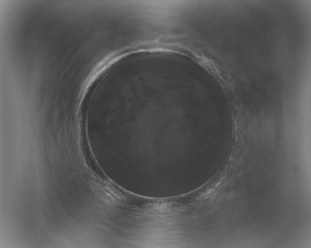 X0000056350295200509232112