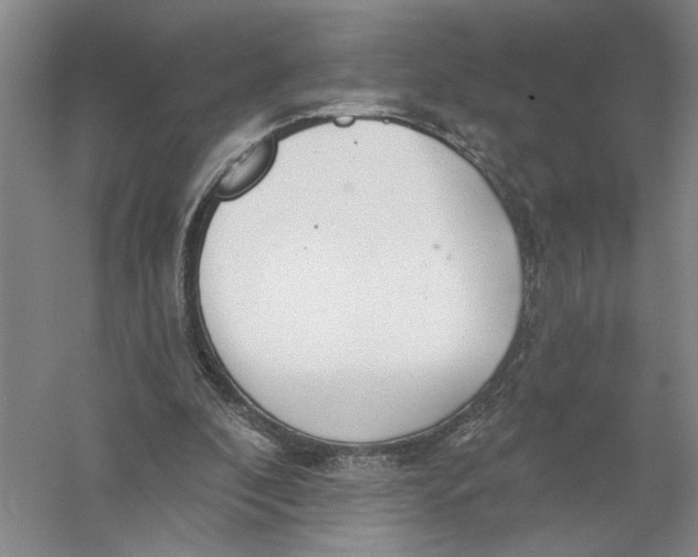 X0000056350296200509232112