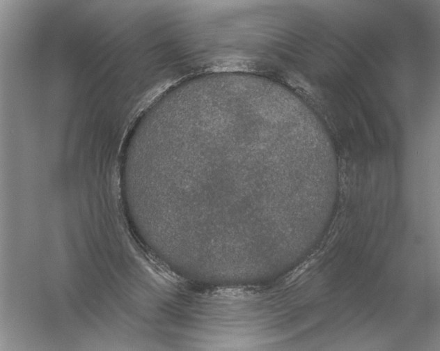 X0000056350298200509232112