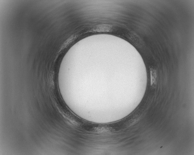 X0000056350300200509232112