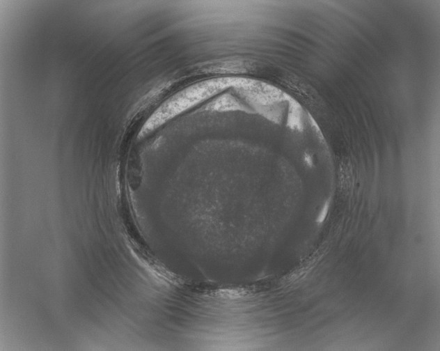 X0000056350302200509232112