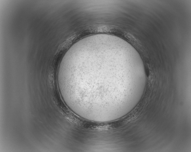 X0000056350306200509232112