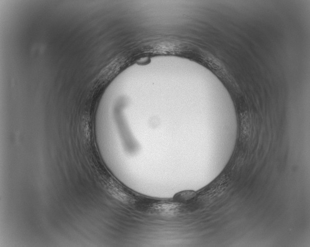 X0000056350313200509232112