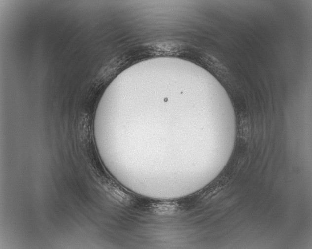 X0000056350318200509232112