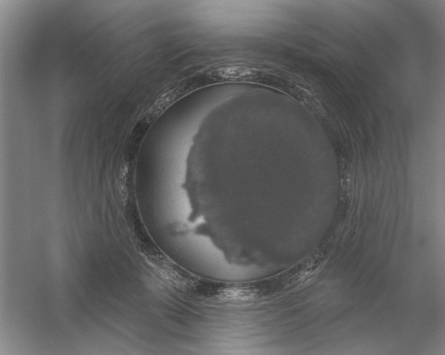 X0000056350319200509232112