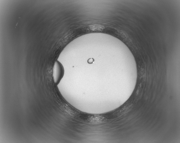 X0000056350321200509232112