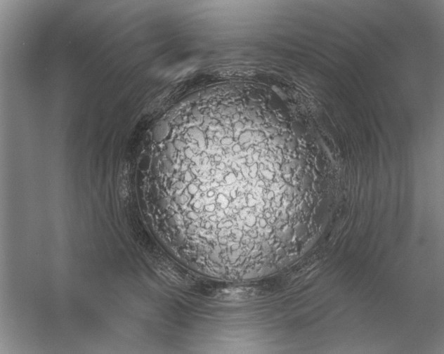 X0000056350323200509232112