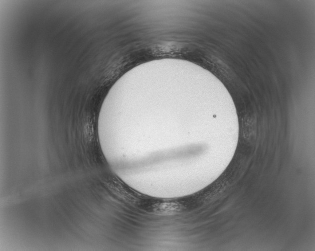 X0000056350324200509232112