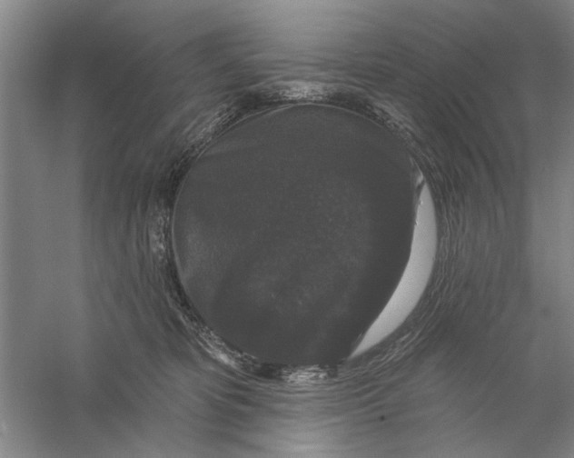 X0000056350325200509232112