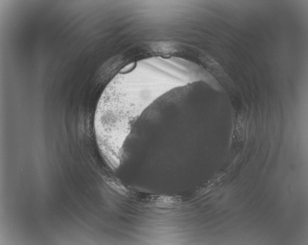 X0000056350330200509232112