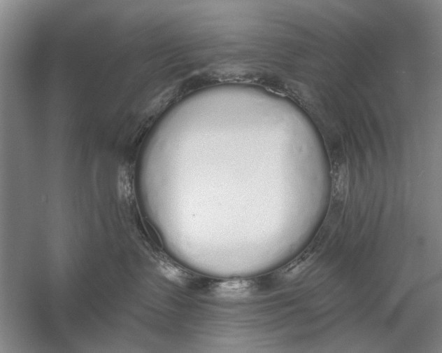 X0000056350335200509232112