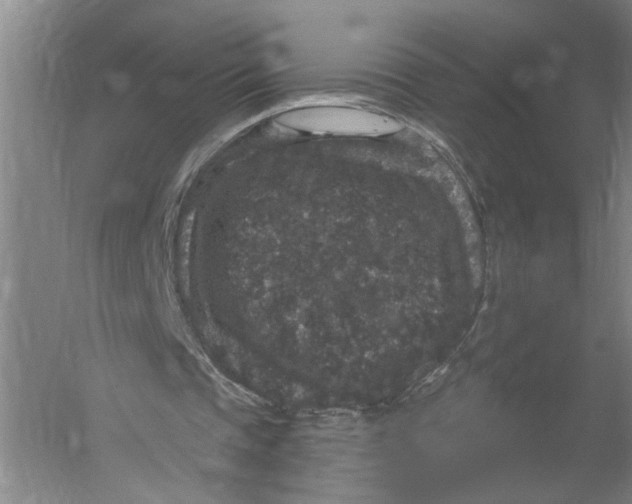 X0000056350337200509232111