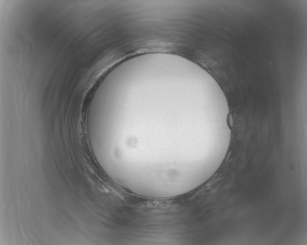 X0000056350338200509232111