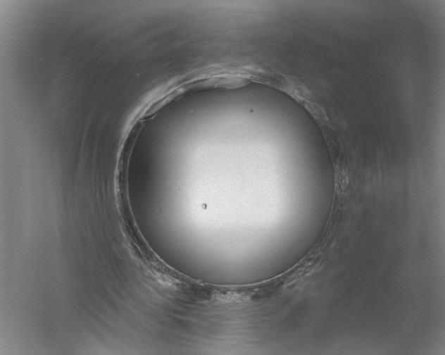 X0000056350340200509232111