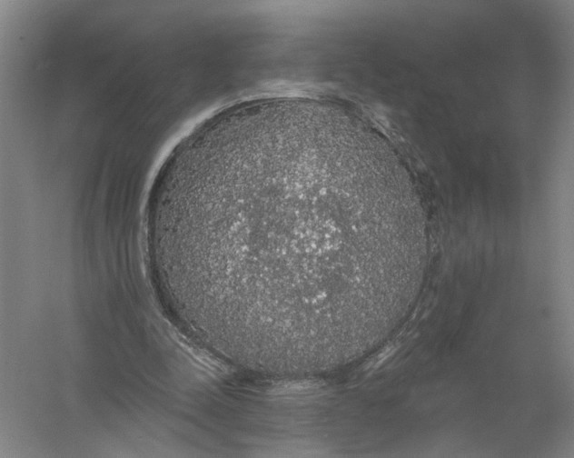 X0000056350342200509232111