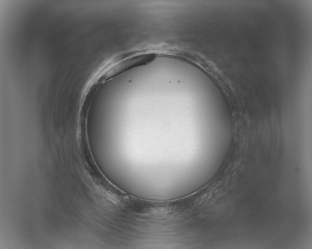 X0000056350344200509232111