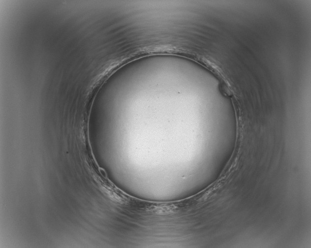 X0000056350345200509232111