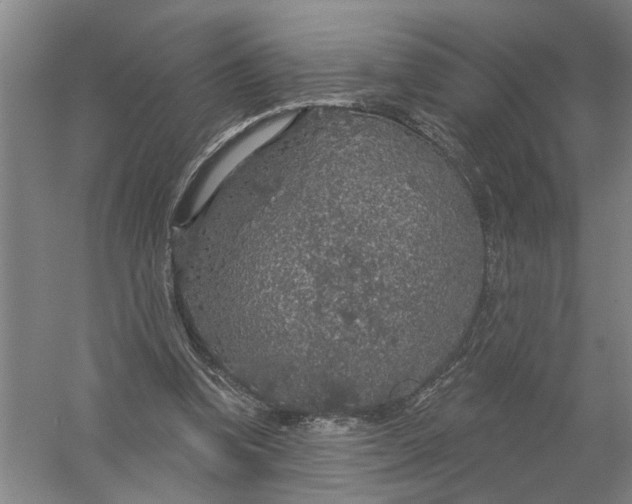 X0000056350346200509232111