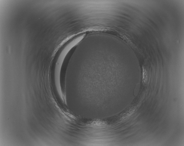 X0000056350348200509232111