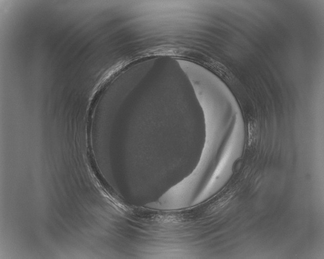 X0000056350349200509232111