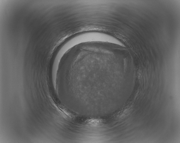 X0000056350352200509232111