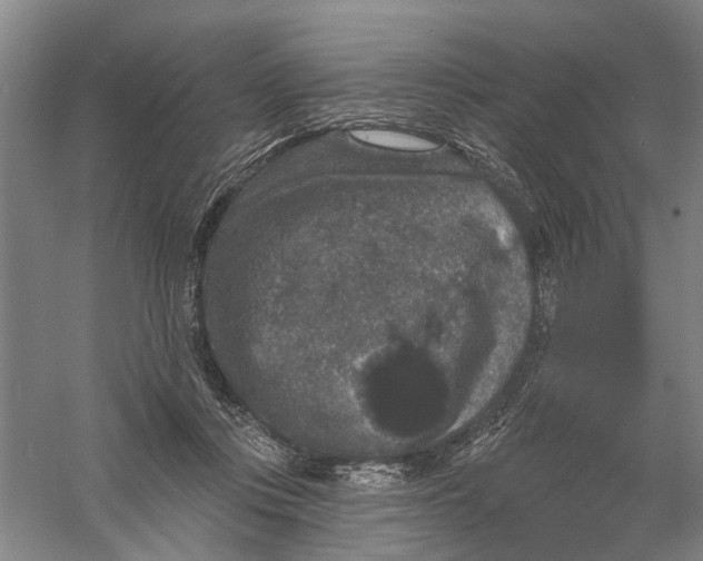 X0000056350359200509232111