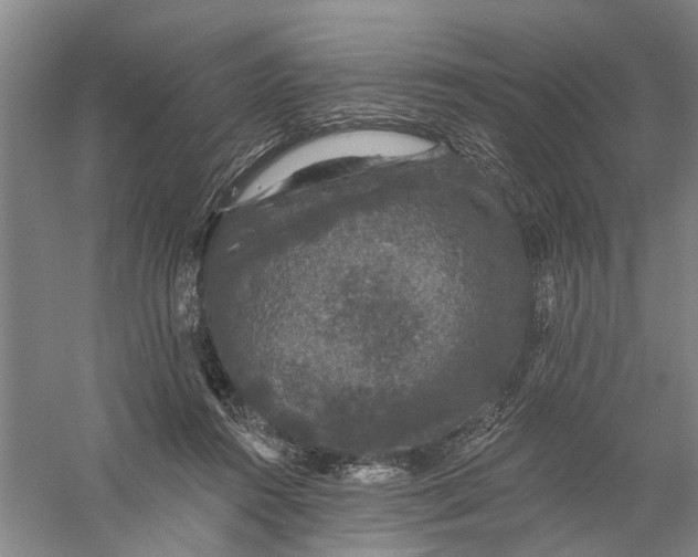 X0000056350360200509232111