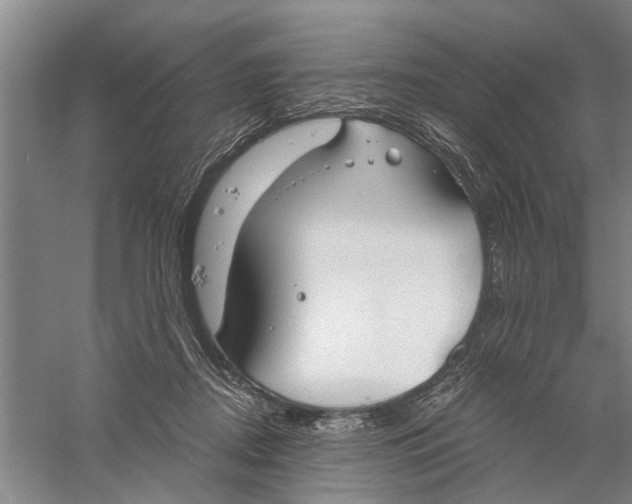 X0000056350362200509232111