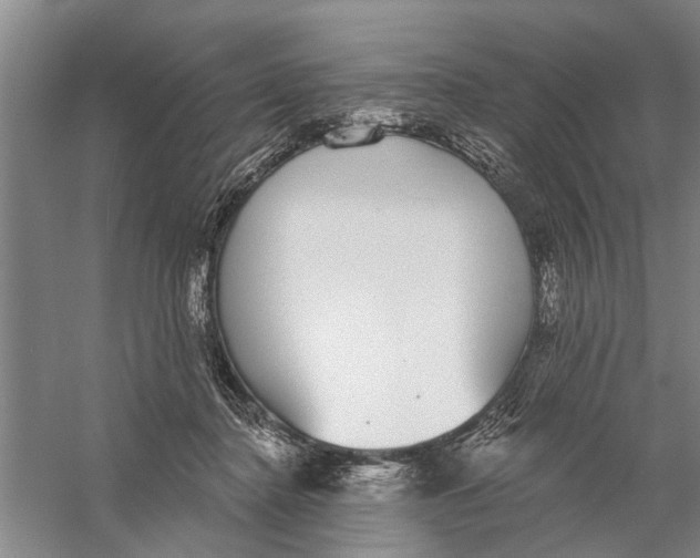 X0000056350364200509232111