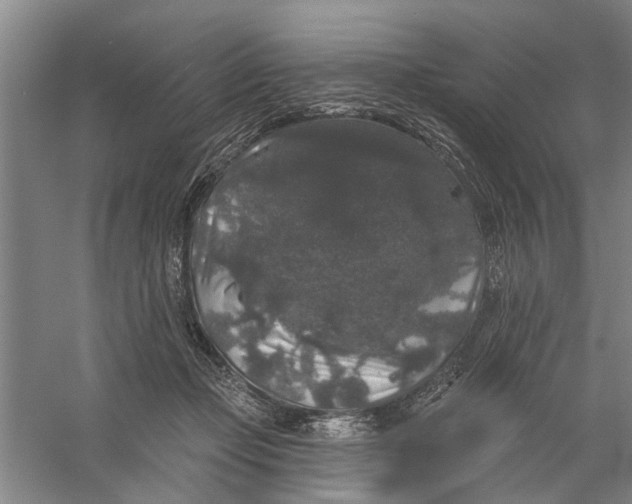 X0000056350365200509232111