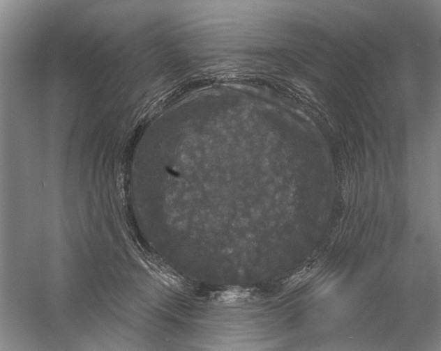 X0000056350366200509232111