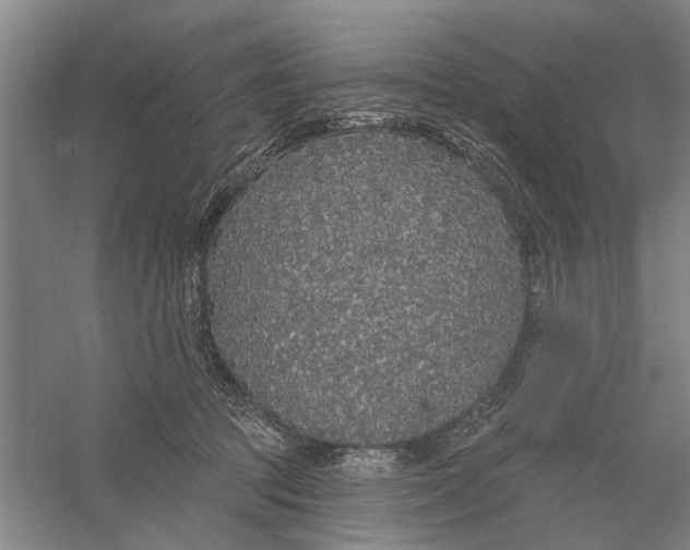 X0000056350369200509232111